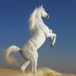 Meet your Posher, Meredith